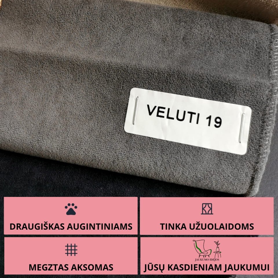 VELUTI 19