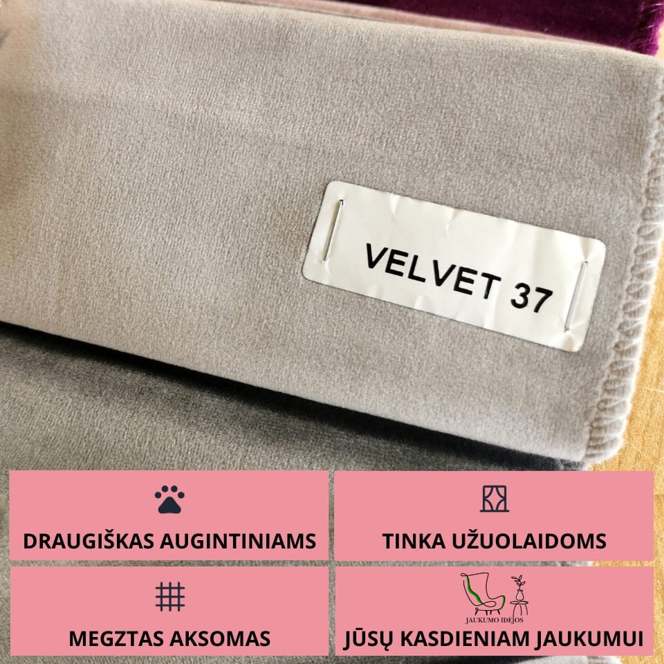 VELVET 37