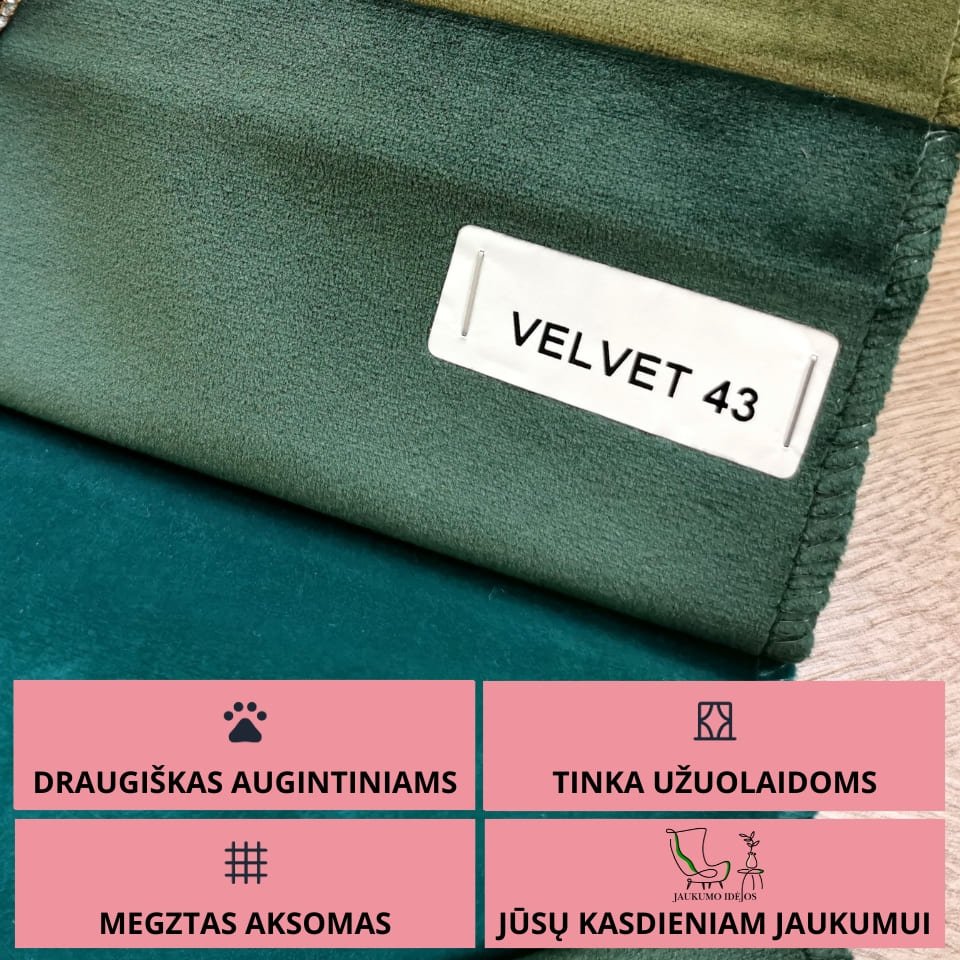 VELVET 43